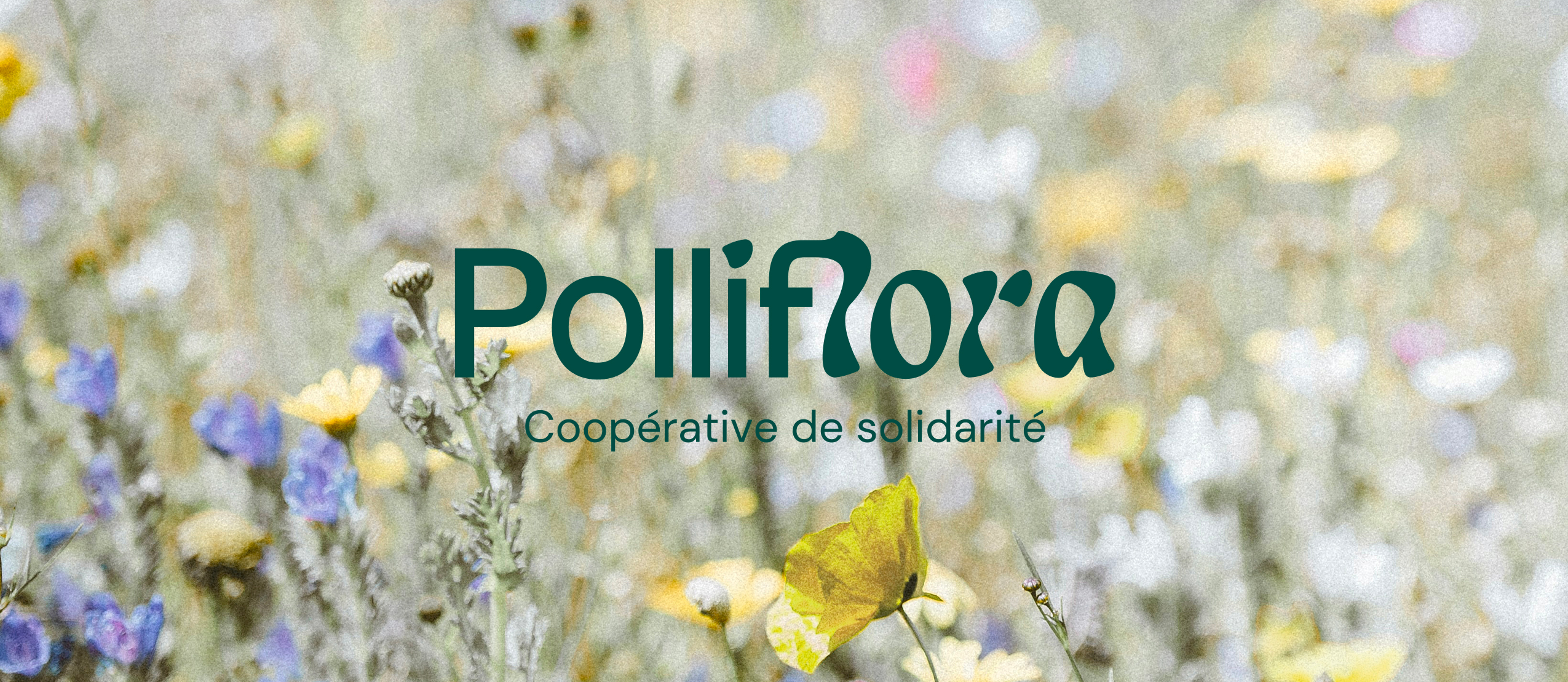 Polliflora logo on an image of flowers