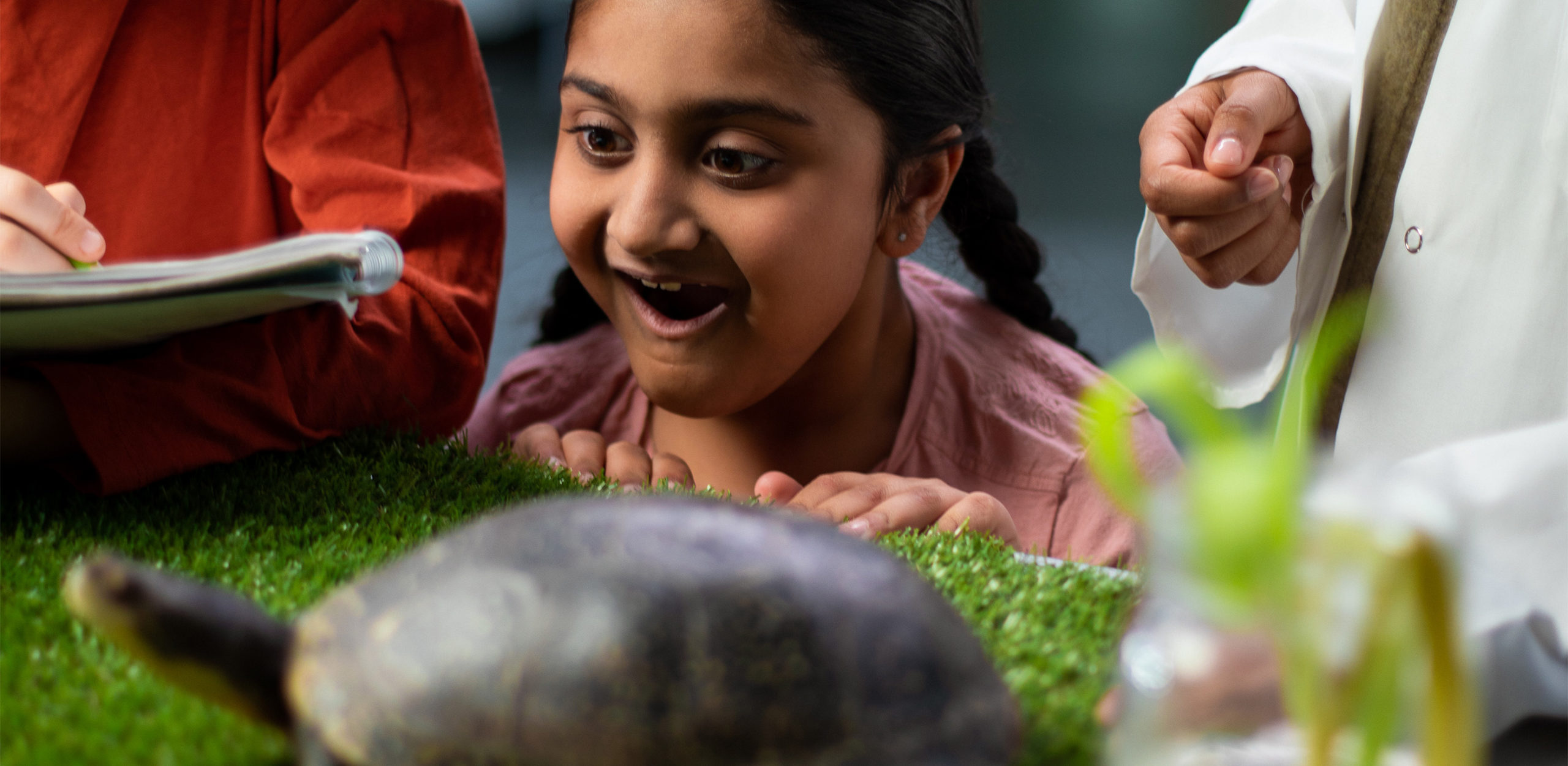 Capture de la troisième publicité, une enfant découvre une tortue 